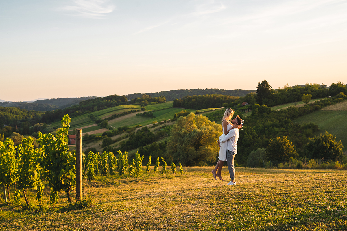 Vinogradi s pogledom